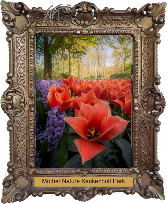 Mother Nature as tulip